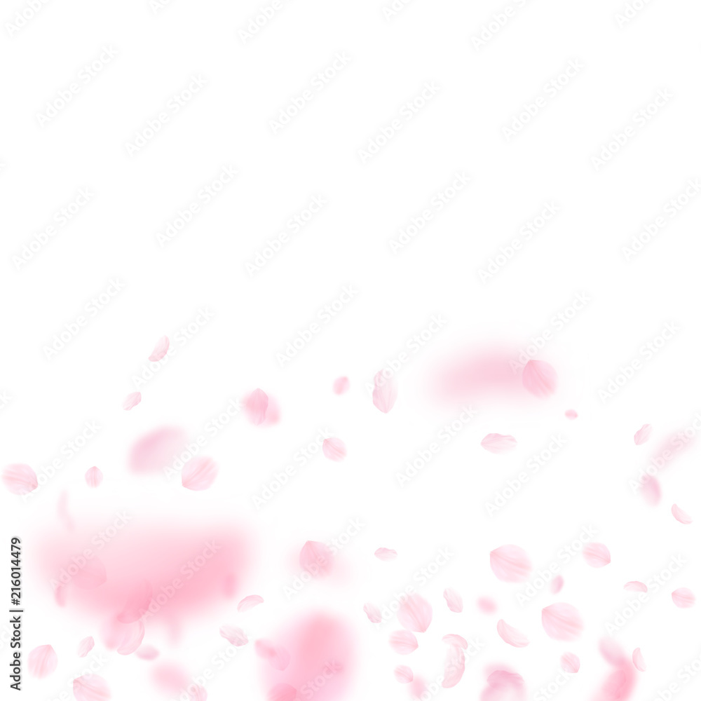 Sakura petals falling down. Romantic pink flowers gradient. Flying petals on white square background