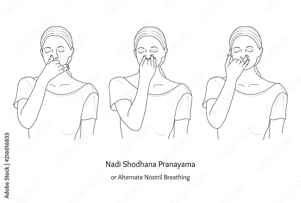 Nadi Shodhana Pranayama or Alternate Nostril Breathing. Vector. Nadi Shodhana Pranayama or Alternate Nostril Breathing. Vector.