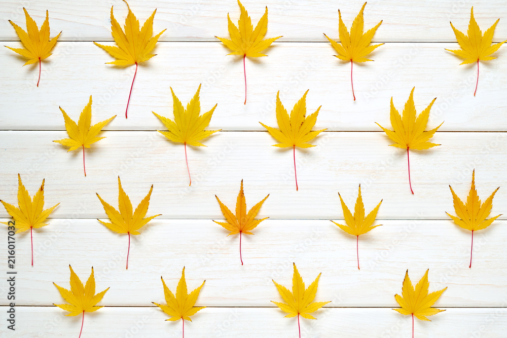 Autumn frame for your idea and text. Autumn fallen dry leaves of yellow color, framed in the form of a rectangle on a wooden board of white color. View from above Autumn frame for your idea and text. Autumn fallen dry leaves of yellow color, framed in the form of a rectangle on a wooden board of white color. View from above