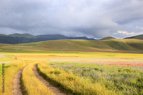 A magnificent sunrise in Castelluccio di Norcia. expecting more to the thousand colours of flowering  © Claudio Quacquarelli