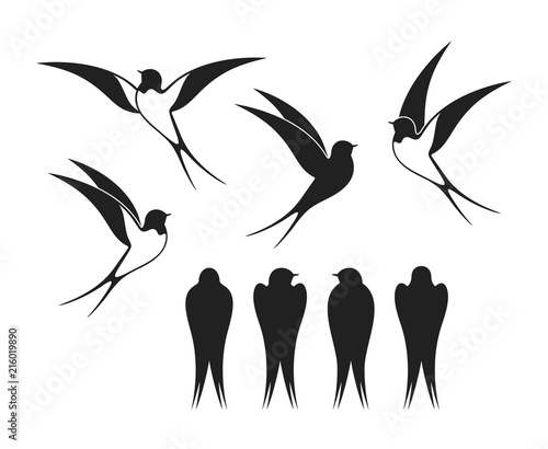 Swallow logo. Isolated swallow on white backgroun. Bird