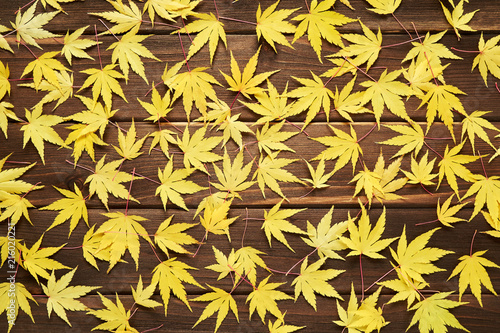 Autumnal frame for your idea and text. Fall fallen dry yellow leaves, scattered chaotically on a rectangle on old wooden natural boards. The pattern of autumn. View from above
