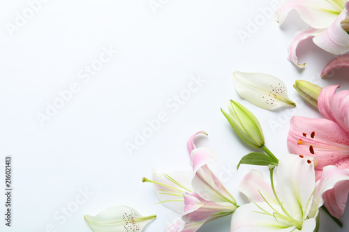Fototapeta Naklejka Na Ścianę i Meble -  Flat lay composition with beautiful blooming lily flowers on white background