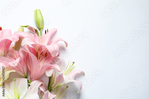 Fototapeta Naklejka Na Ścianę i Meble -  Composition with beautiful blooming lily flowers on white background