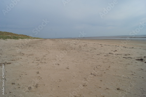 beach in france ,normandie, beach, frankreich, france, holiday, cost, atlanitik, atlantic, landscape, summer, nature, horizont, ausgehöhlt, cloud, gestade, welle, urlaub, küstenlinie, 