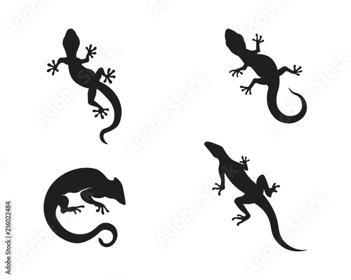 Fényképezés Lizard vector, design, animal, and reptile, gecko