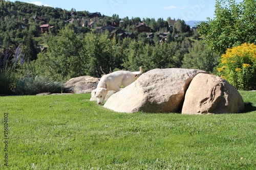 Steamboat Colorado