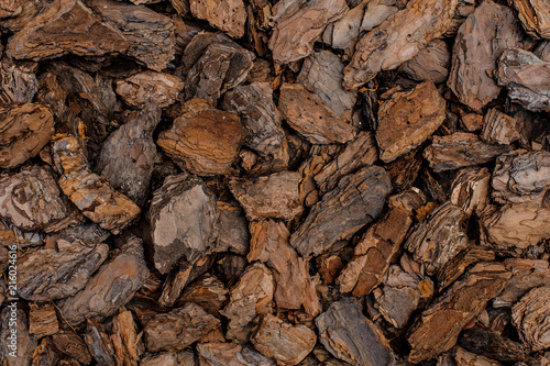 Background texture of a pieces of bark of a tree