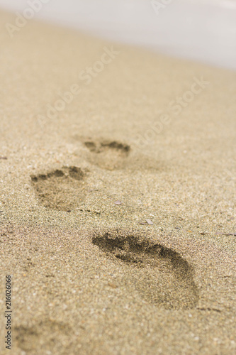 Human Feet Prints In Sand On The Beach On Corsica 