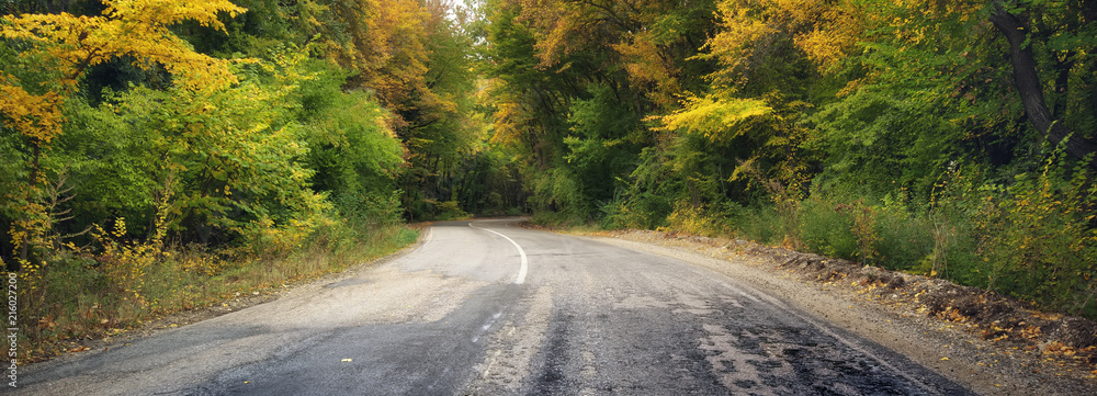 Fotografie asphalt road and autumn forest.