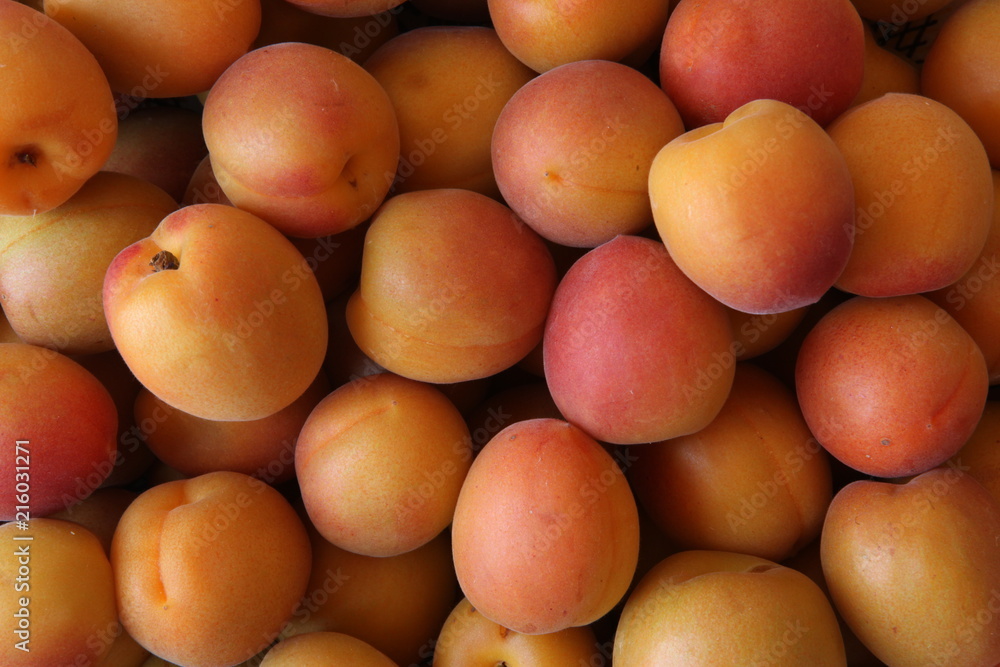 apricots, albicocche