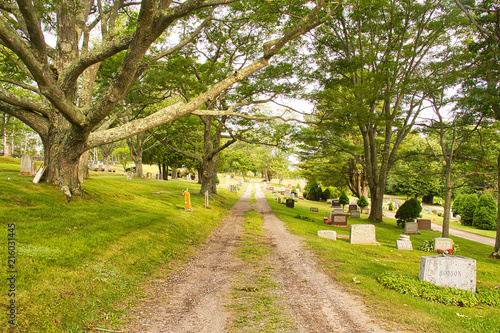 Old Road through a County Cemetery