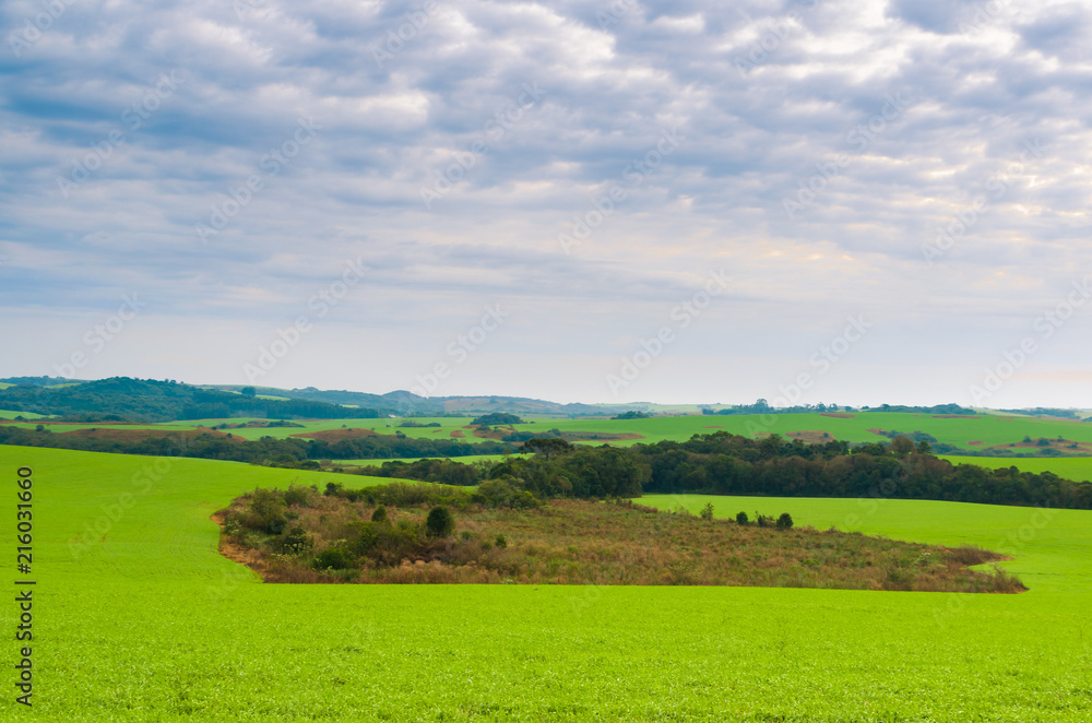 Beautiful landscape of green field and cloudy sky