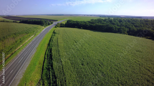 Empty road for cars aerial view from top around green nature