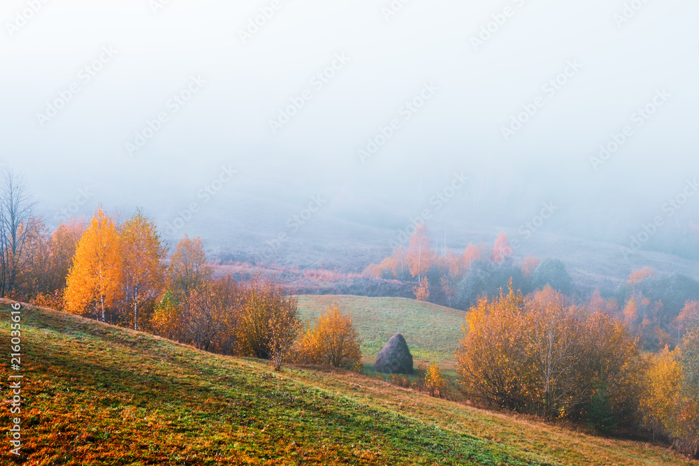 Fototapeta premium Amazing scene on autumn mountains. Yellow and orange trees in fantastic morning sunlight. Carpathians, Europe. Landscape photography