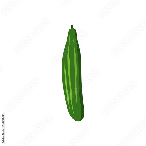 Colorful cucumber clipart cartoon. Cucumber vector illustration.