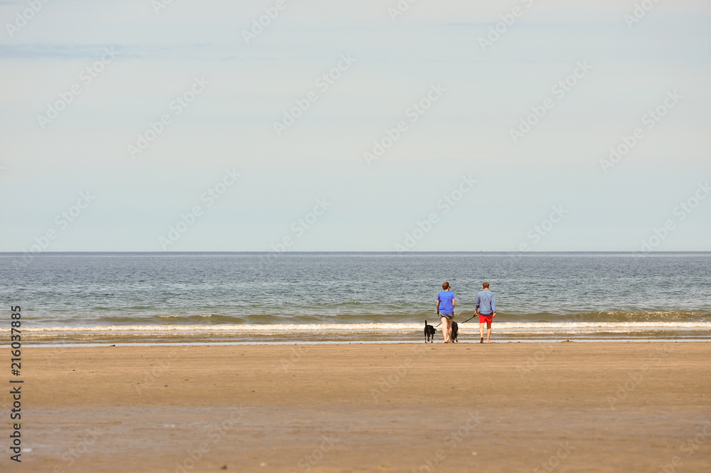 People walking dogs on a beach
