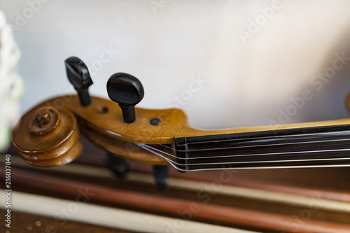 Violino ed archetto, riccioli e corde di artista