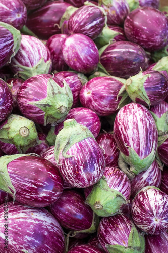 A large pile of small purple and white eggplants at the Clement Street Farmer's Market in San Francisco.