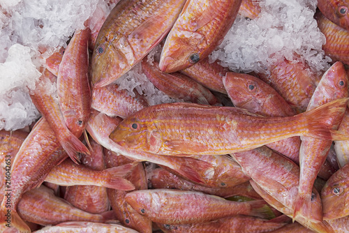 Fresh fish red mullet on ice. Fresh seafood market
