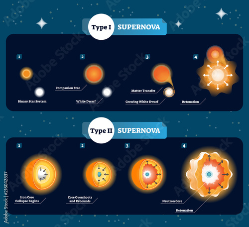 Supernova vector illustration. Scheme with how stars become to big bang and explosion. Explained companion star, matter transfer, dwarf, detonation and core collapse.