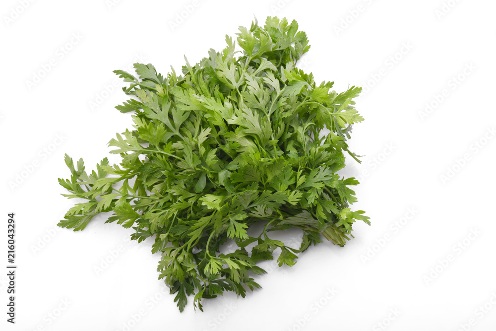 Fresh parsley isolated on a white background Fresh parsley isolated on a white background
