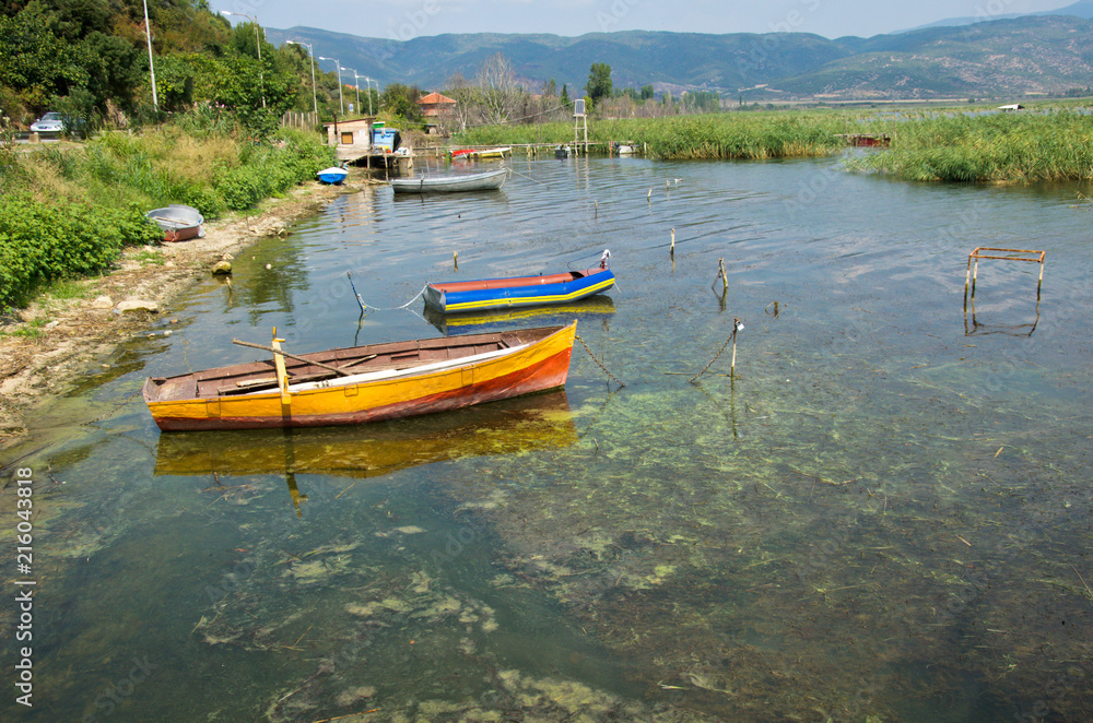 old colorful wooden fish boats on lake shore with reed, Lake Dojran, Macedonia