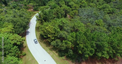 Aerial shot following a car driving on a winding road through a forest