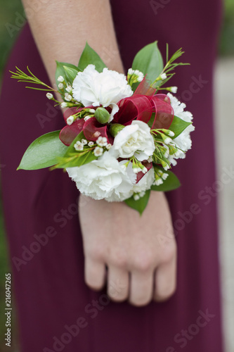 Fotografering Red Corsage