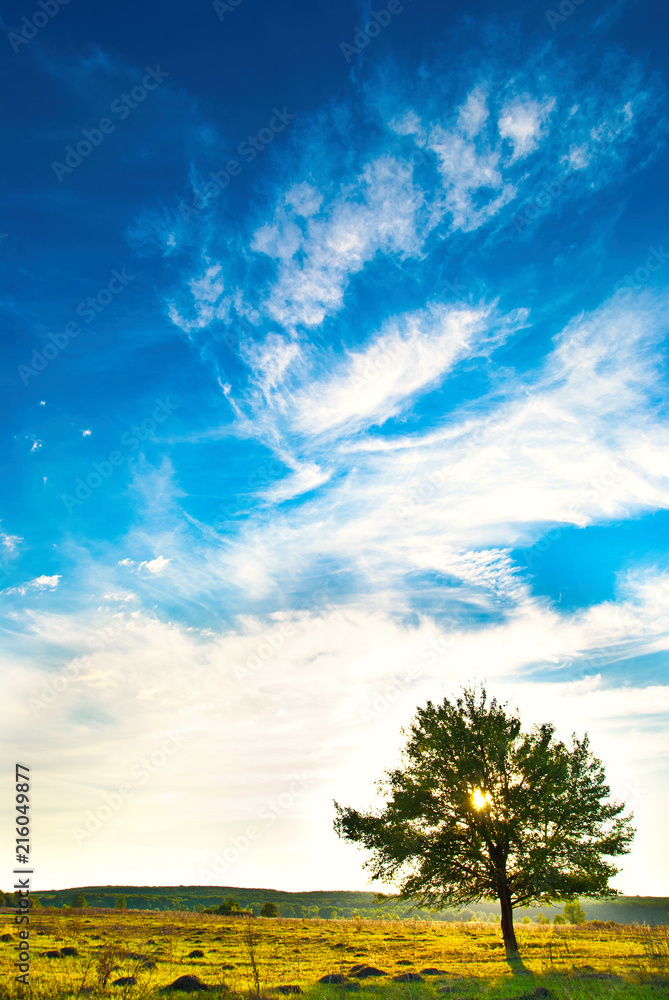 Obraz premium tree in a meadow