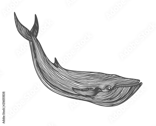 Graphical hand painted whale