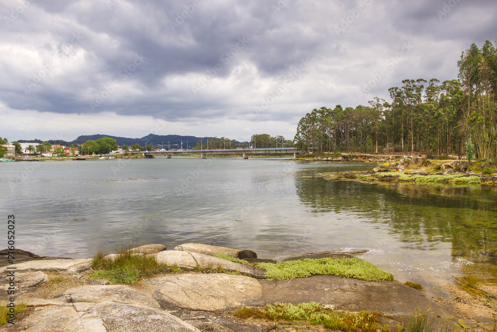 Marsh in Vilanova de Arousa estuary Marsh in Vilanova de Arousa estuary