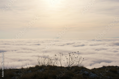 View from the top of the mountain at a sea of clouds