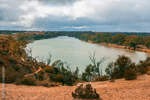 Murray river and eucalyptuses. Berri, South Australia photo