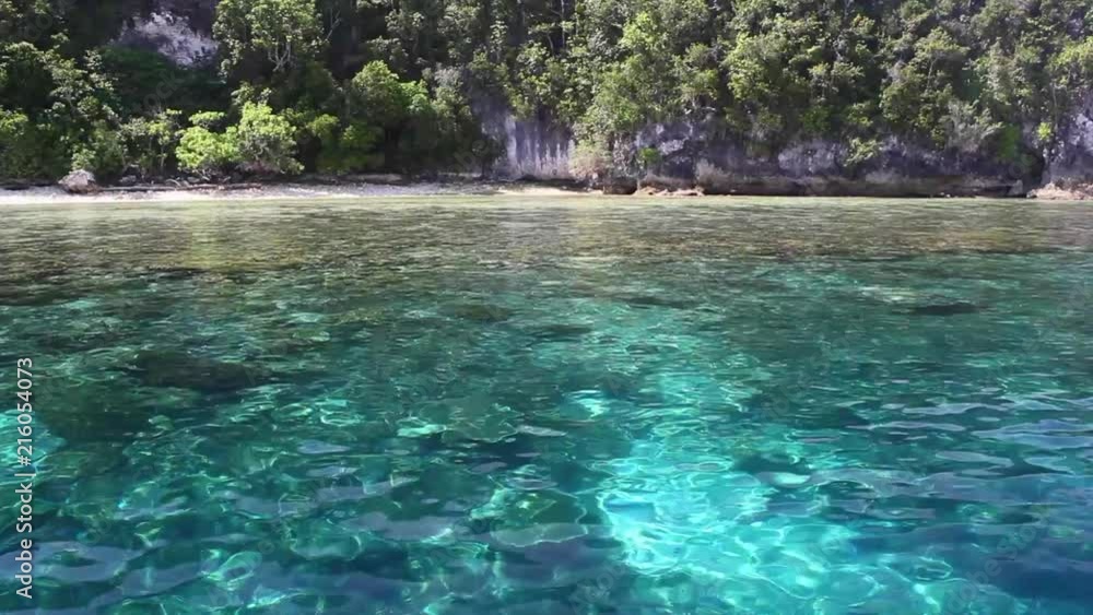 Calm Water, Coral Reef, and Tropical Island in Raja Ampat Calm Water, Coral Reef, and Tropical Island in Raja Ampat