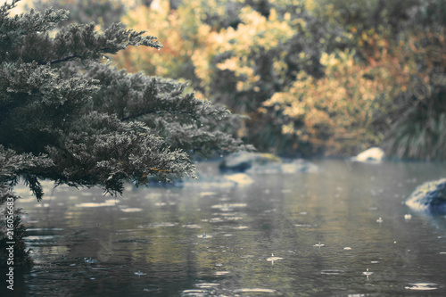 Pond 1