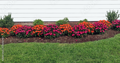 Red and orange summer impatiens bordering home with green grass in foreground. photo