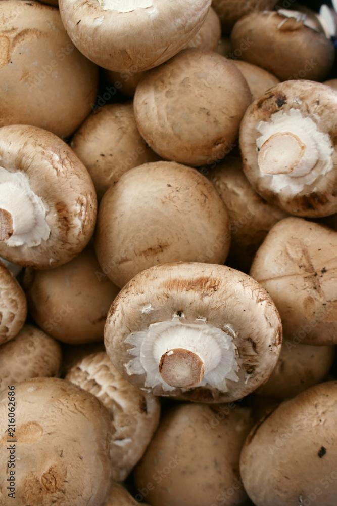 brown chestnut closed cup mushrooms brown chestnut closed cup mushrooms