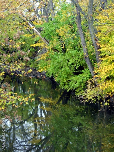Fototapeta Naklejka Na Ścianę i Meble -  Quiet Stream in Autumn