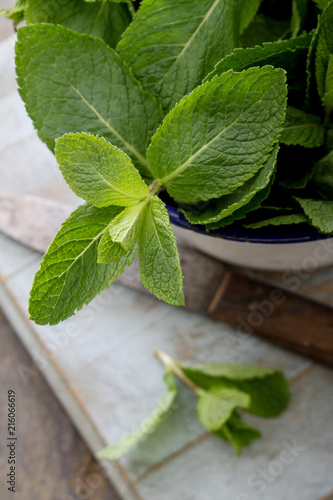 preparing fresh mint herb