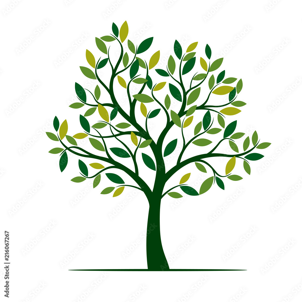 Naklejka premium Zielone drzewo wiosny. Ilustracji wektorowych.