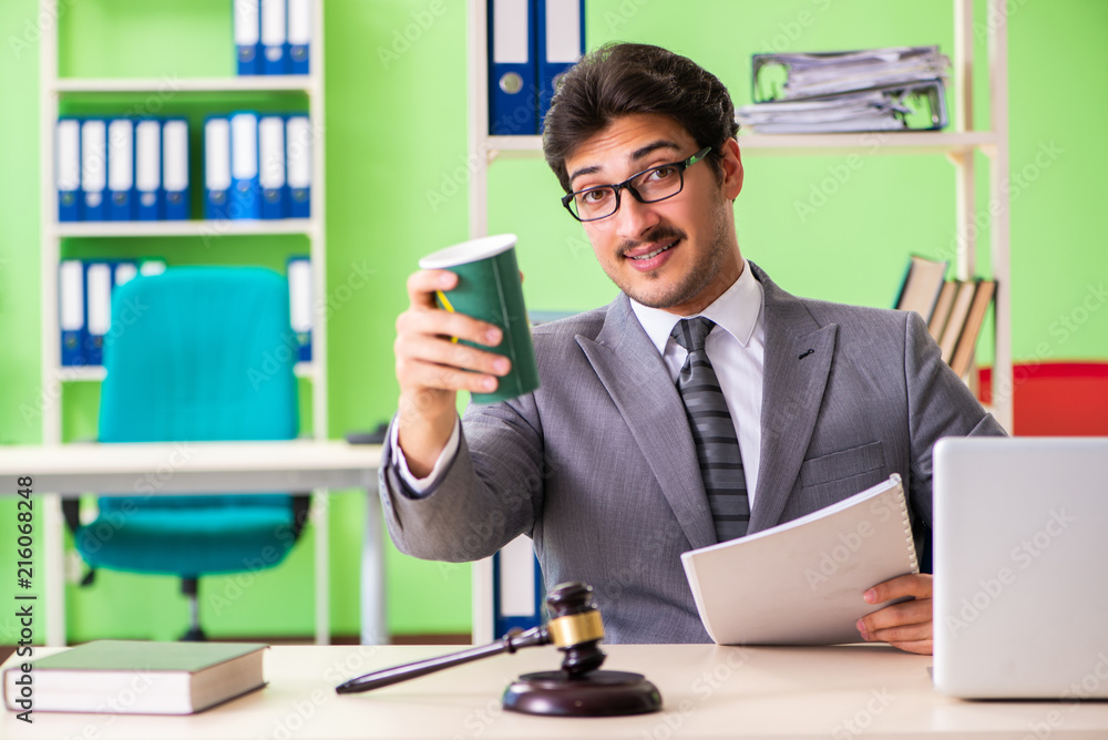 Young handsome lawyer working in the office Young handsome lawyer working in the office