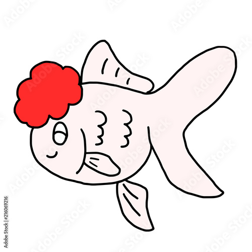 金魚の丹頂