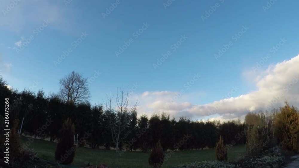 Dramatic clouds over the shrubs. Timelapse Dramatic clouds over the shrubs. Timelapse