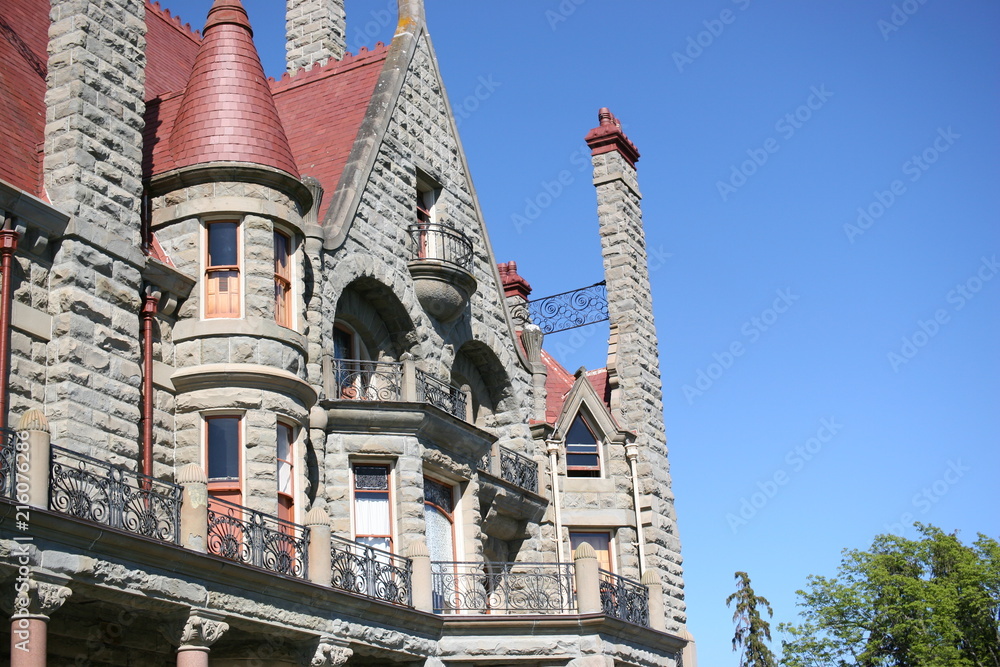 Fototapeta premium Castle