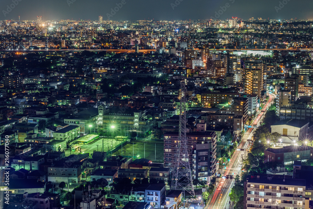 Obraz premium 東京 夜景