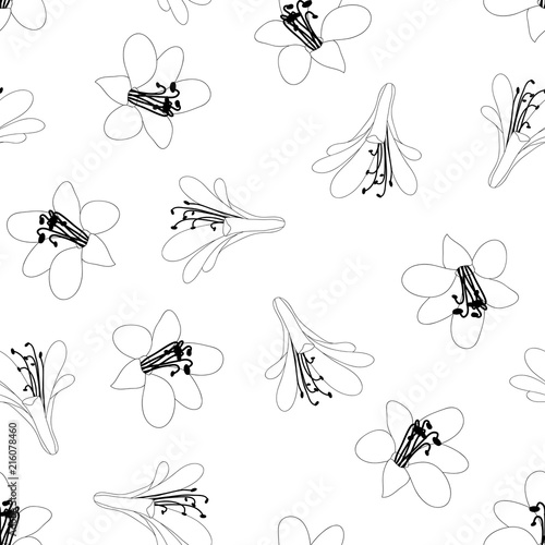 Agapanthus Flower Seamless ...