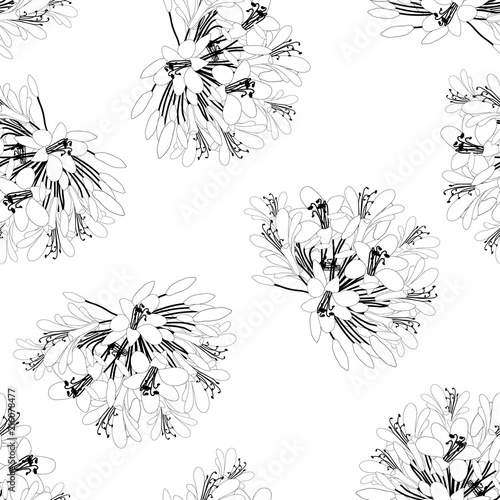Agapanthus Flower Seamless ...