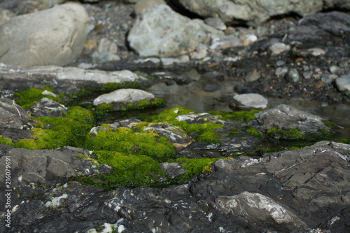Mossy stones and rocks in water