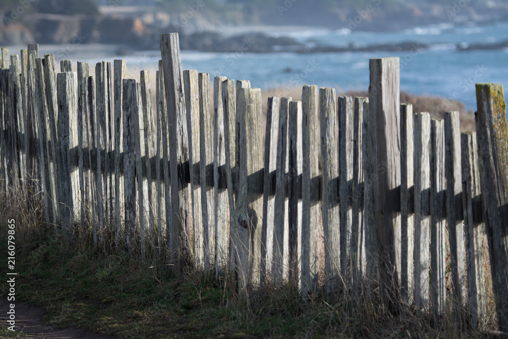 Obraz premium Old gray wooden fence on coast